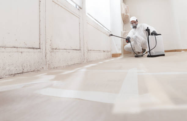 24/7 Emergency Attic Mold Removal experts in Point Pleasant, NJ